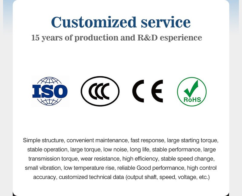 High-speed Large Torque Motor High-speed Large Torque Motor