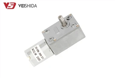 370 DC Worm Gear Motor
