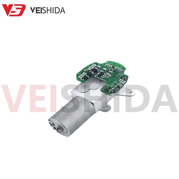 GBW30 - EC2838 Gear Motor